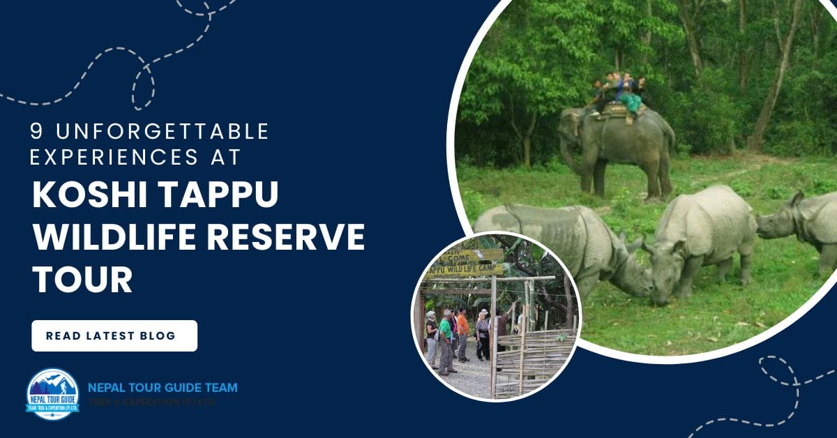 9 Unforgettable Experiences at Koshi Tappu Wildlife Reserve Tour 9 Unforgettable Experiences at Koshi Tappu Wildlife Reserve Tour